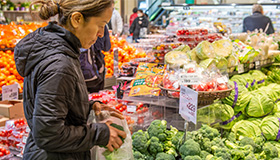 Woman shopping for produce