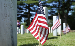 american flags