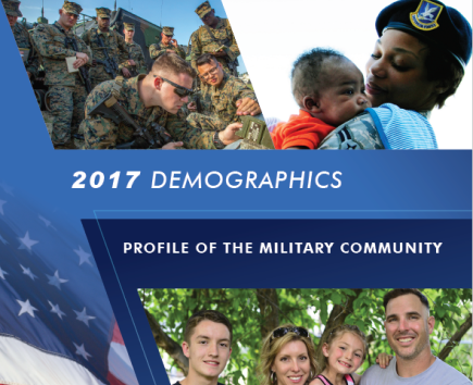 2017 Demographics Profile