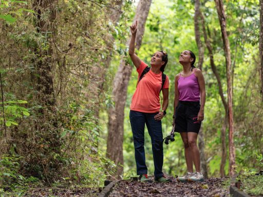 Two women walking through a park