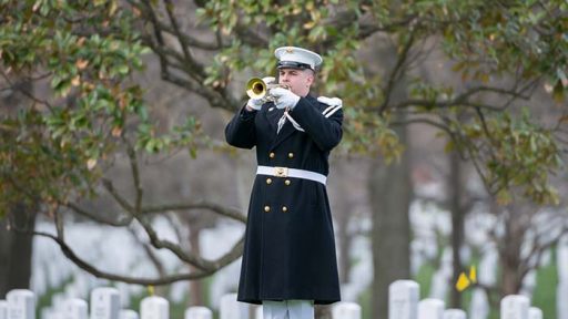 bugler in cemetery