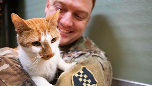 service member with cat