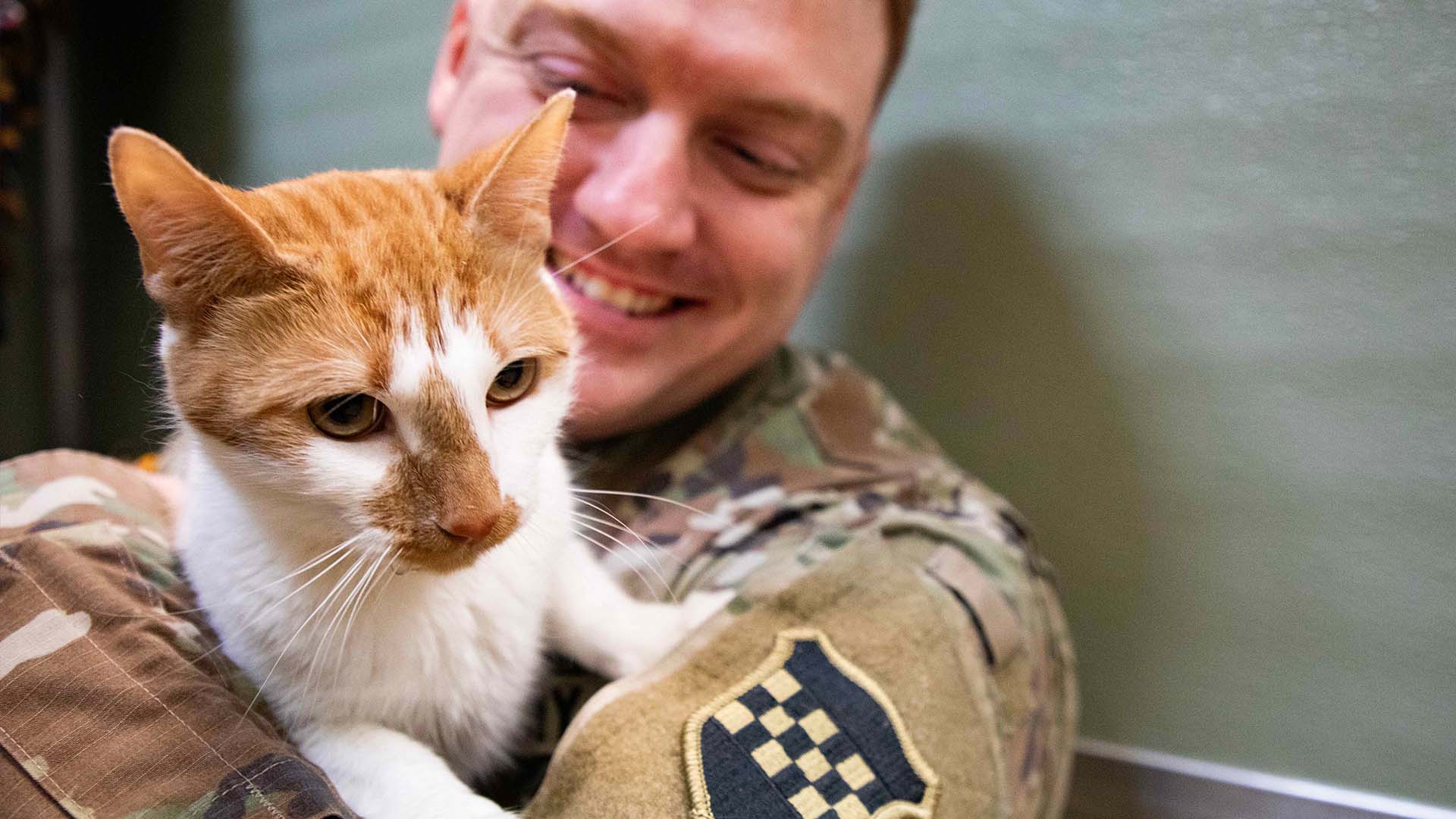 service member with cat