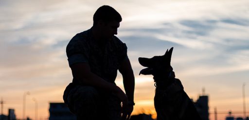 silhouette of service member and dog