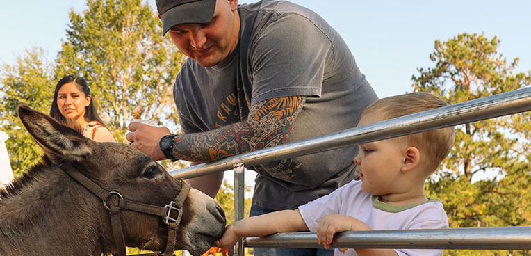 Father and child interacting with donkey