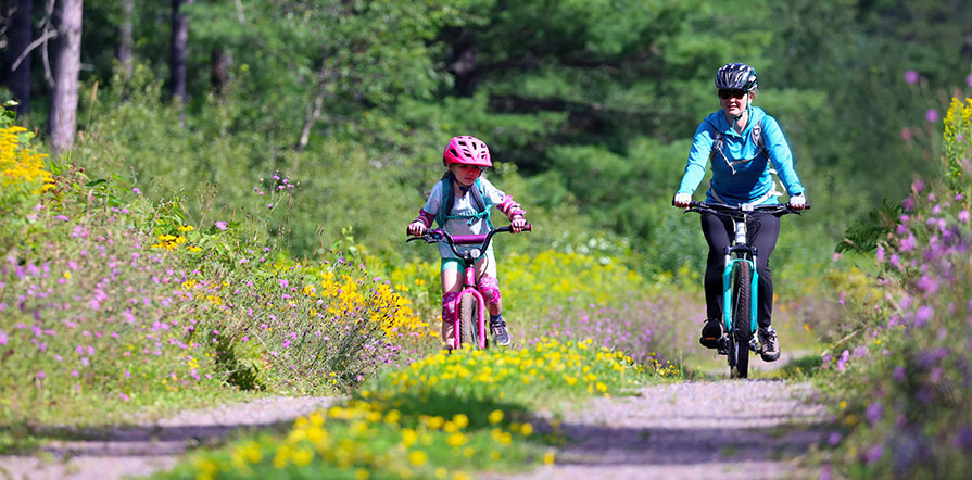 mountain bikers enjoy national forest trail