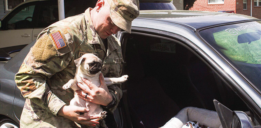 service member moving with dog